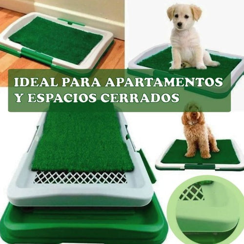 Tapete entrenamiento para mascotas