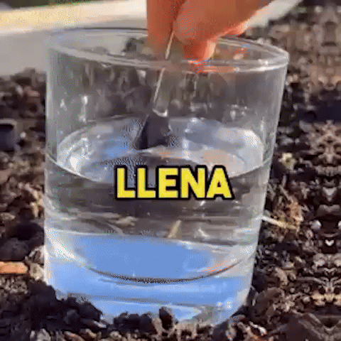 Shilajit con ENVÍO GRATIS!🎁