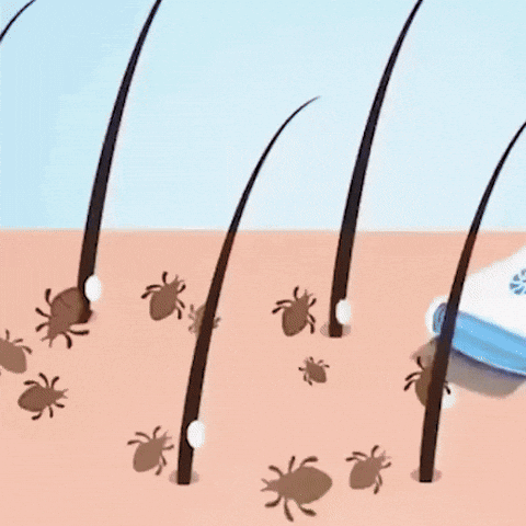 🕷️Quita Piojos Eléctrico🙆♀️