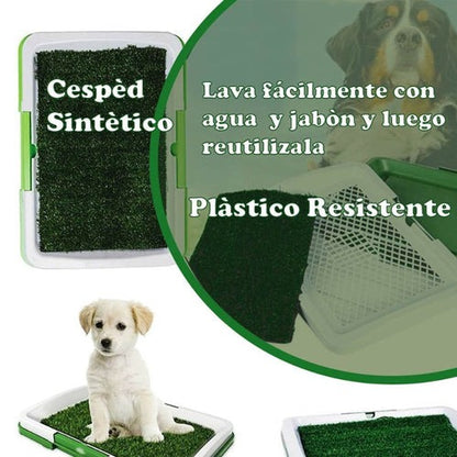 Tapete entrenamiento para mascotas